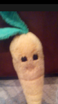 Mr.Carrot