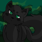 Hollyleaf