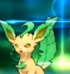 Majestic leafeon