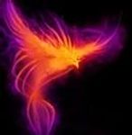 a Phoenix is fast and strong but it can be beaten by a Dragon,but it can come back to life and weaken the Dragon. choose wisely.