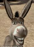 Donkey (Shrek)