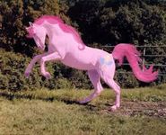 pinkie pie real horse