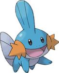 Mudkip