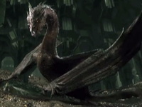 I like the great and terrible dragons of Middle Earth. Driven by their greed they inflict such devastation. Their so powerful!