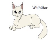 Whitestar