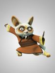 MASTER SHIFU