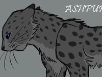 Ashfur