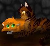 Brambleflight (Bramblestar+Squirrelflight)