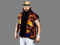 Bray Wyatt