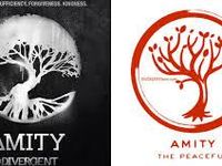 Abnegation ftw!