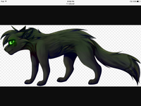 Hollyleaf