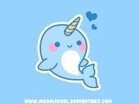 Narwhals! ?