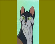 graystripe