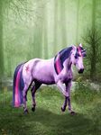 twilight sparkle real horse