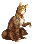 Leafpool