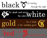 Mortal Instrument Series