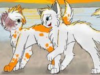 Cloudtail and Brightheart