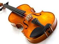 violin