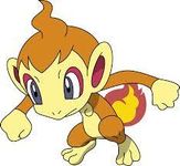 Chimchar