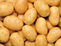 Potatoes