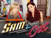 SAM AND CAT