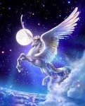 pegasus/unicorn