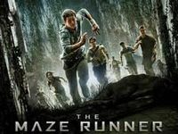 Maze Runner