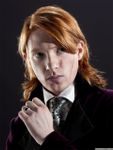 bill weasley