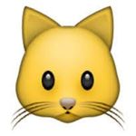 Cat emoji