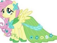 fluttershy