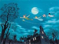 Fly with peter pan?