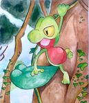 Treecko