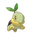 Turtwig