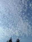 Cirrocumulus