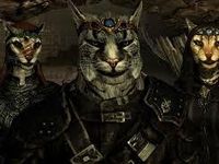 Khajiit