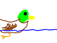 duck