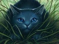 Bluestar