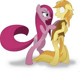 Braeburn x Pinkie Pie