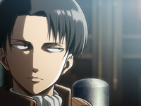 Levi Ackerman