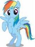 Rainbow Dash