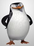 Skipper the penguin (penguins of Madagascar)