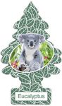 Eucalyptus