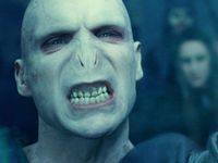 Voldermort