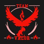 Team Valor