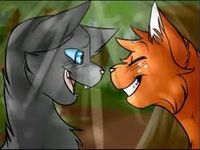 Squirrelfur (Squirrelflight+Ashfur)