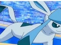 Shy Glaceon