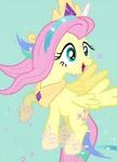 fluttershy