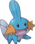 Mudkip