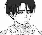 Levi Heichou