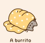 Burrito Pusheen